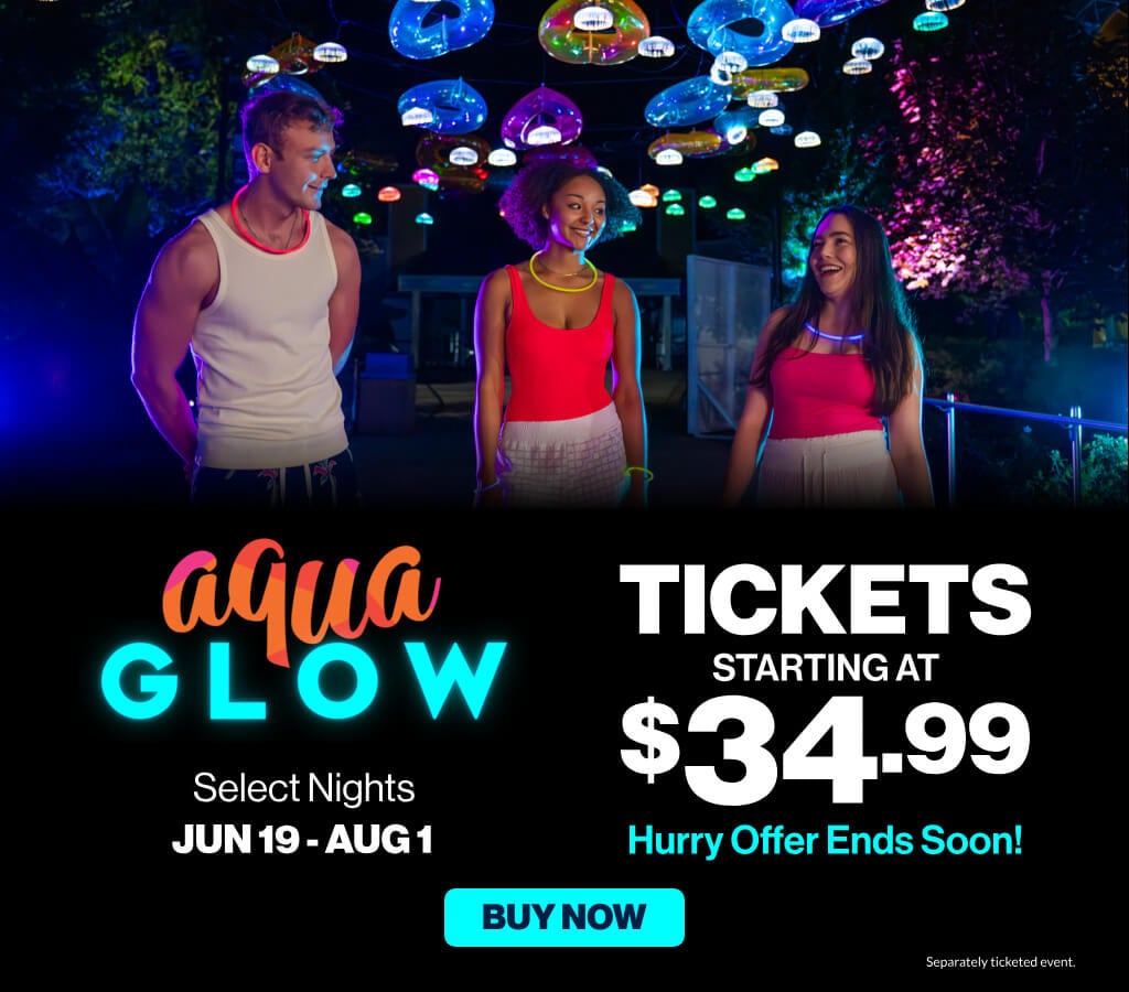 Water Country USA AquaGlow Event Tickets starting at $34.99