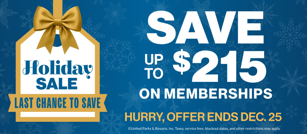 Holiday Sale: Save up to $215 on Memberships